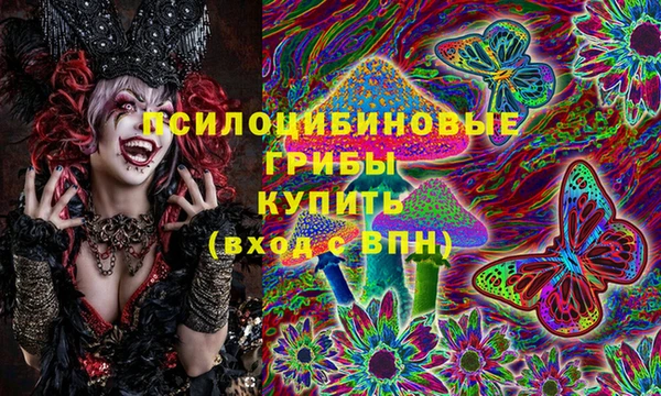 соль курить ск Арсеньев