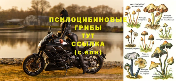 соль курить ск Арсеньев