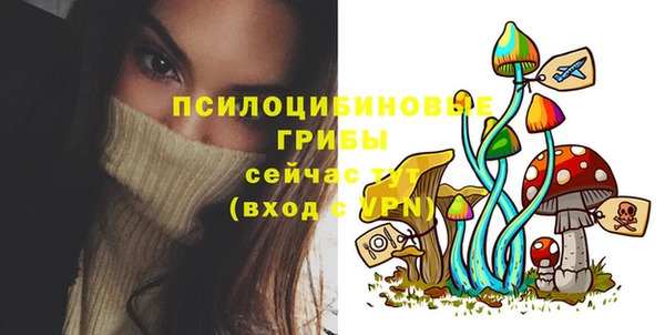 spice Аркадак